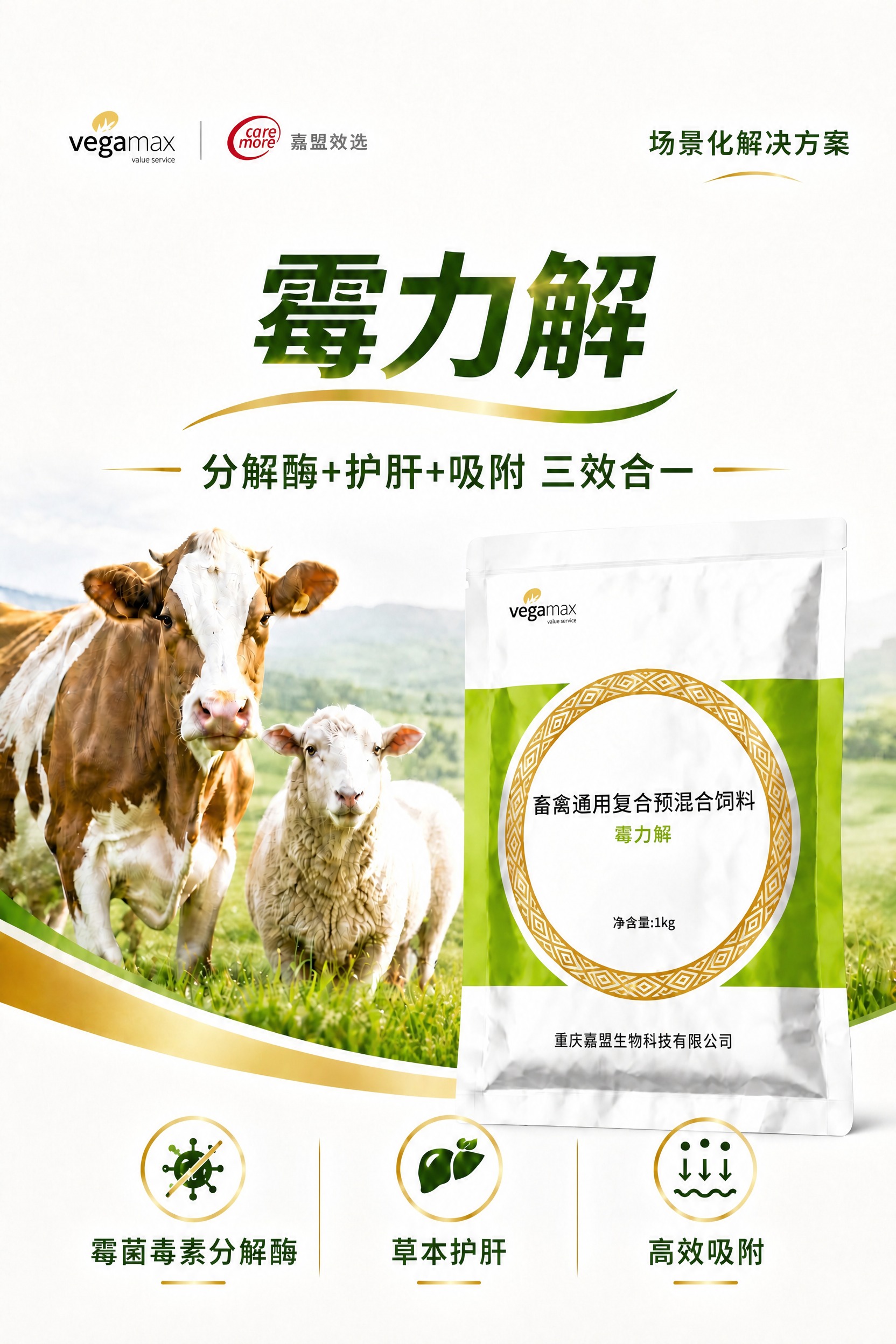 将画面中的产品包装袋放大一些，填充右侧空白区域，使整体构图更饱… - 图片创意预览