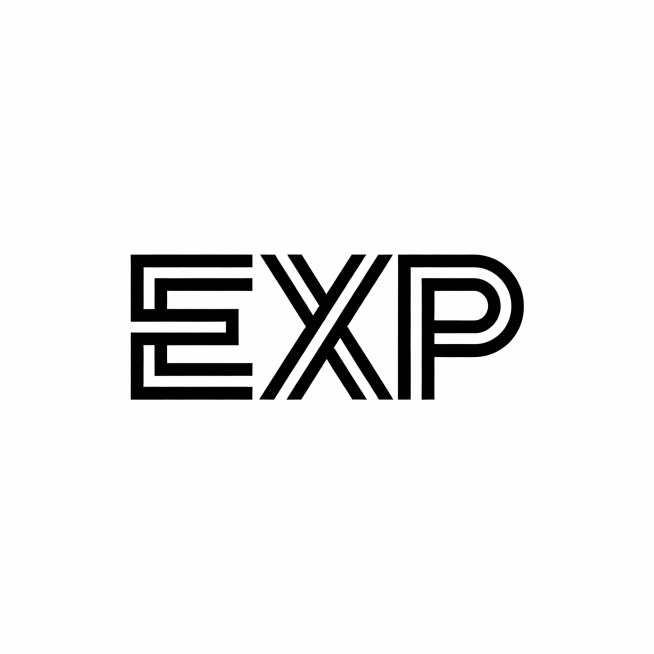 EXP英文字母设计个标志预览效果