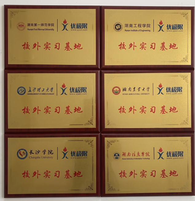 将奖牌纠正，文字内容严格不改，调色优化预览效果