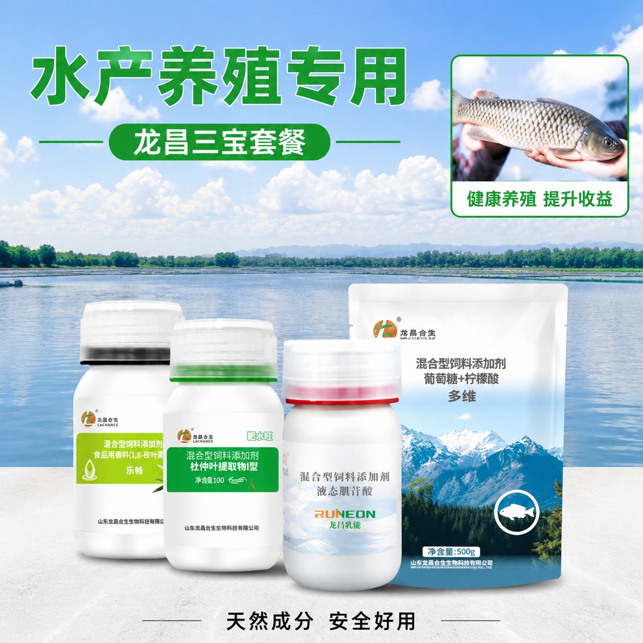 [主图-3] 龙昌三宝适用水产养殖场景展示图 [氛围风格] 简… - 图片创意预览