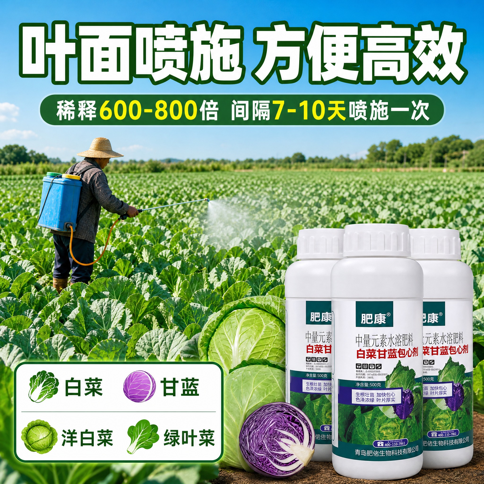 [主图-4] 肥康白菜甘蓝包心剂 使用场景 田间喷施 适用作物… - 图片创意预览