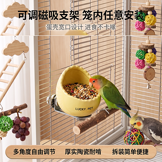 修复画面顶部左上角文字重叠问题，修正残缺不全的"可"字，保证完整主标题："可调磁吸支架 笼内任意安装"清晰显示，修复顶部遮挡的背景，保持原有鸟笼场景、产品、鹦鹉以及其他文字内容和排版不变，整体风格光影保持一致。