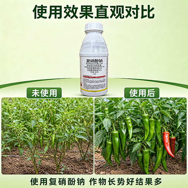 「图片1」，生成一套主图（5张），商品名称是复硝酚钠，卖点是提高光合作用、膨大果实、促进发芽、加快发根、提早开花、打破休眠、促进光合、药害补救、帮助结果、改良品质。，适配拼多多平台，主图比例为1:1