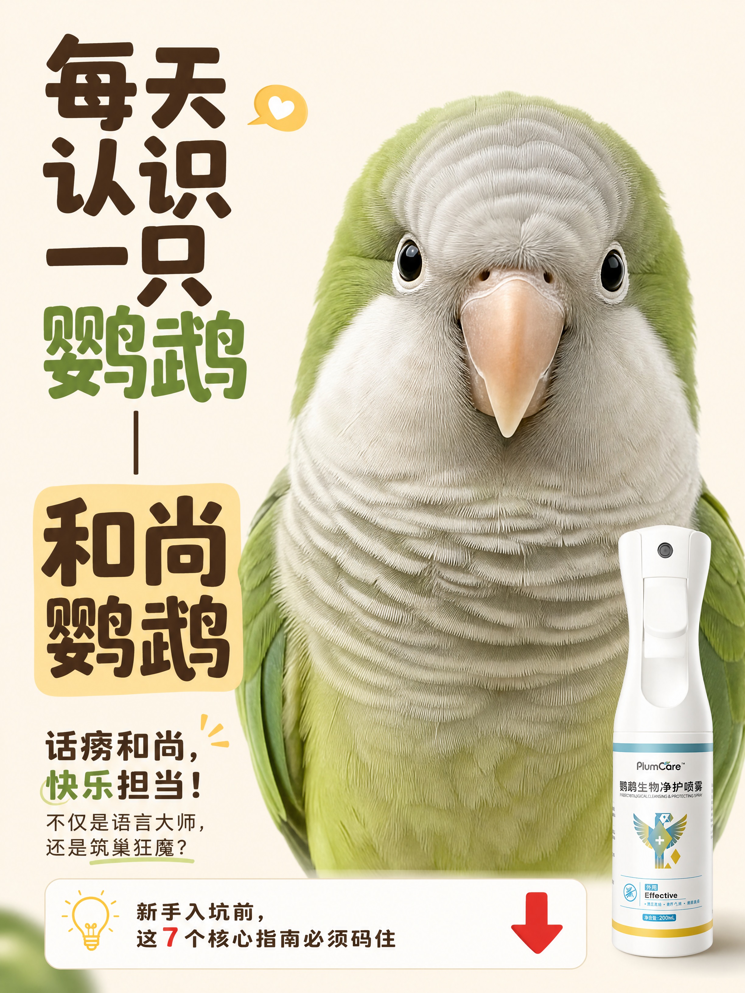 小红书极简大字报风格科普封面，温暖治愈，米白底色，干净明亮。主… - 图片创意预览