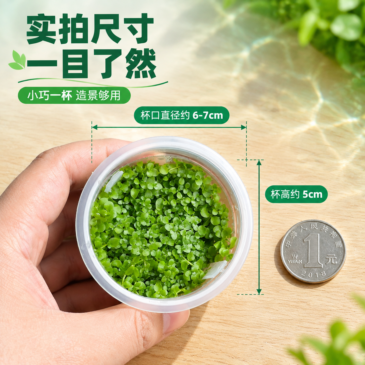 [主图-7] 尺寸规格展示，主题：一杯多大 实拍参照。 [统一… - 图片创意预览