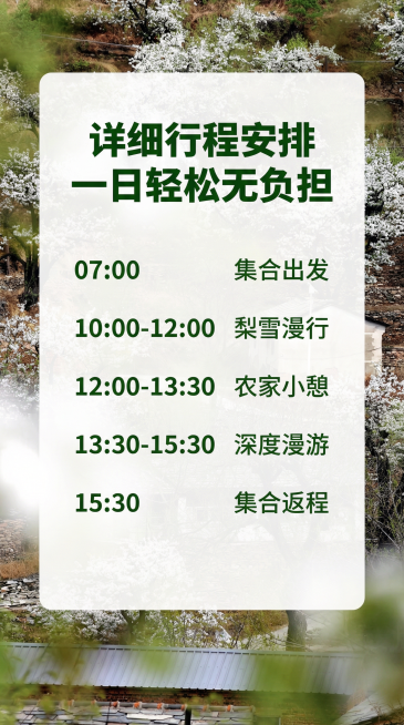 [主图 7] 一日轻松行程安排
[氛围/风格] 清晰信息风，干净清爽，保持春日自然底色
[画面元素] 背景保留虚化梨花梯田原图，前景放置半透明白色信息卡片，卡片内清晰排列行程时间节点，保留整体自然氛围预览效果