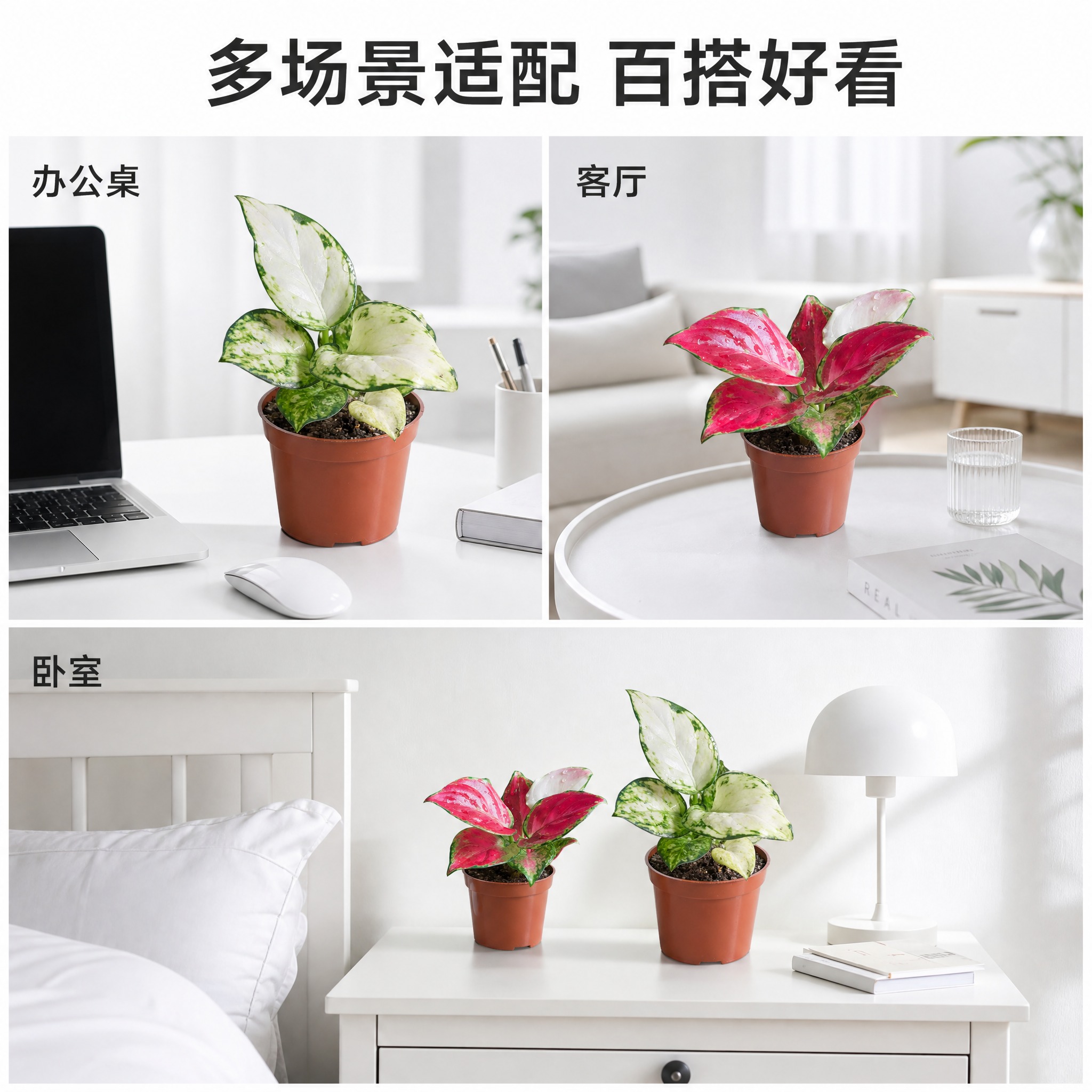 [主图-9] 多场景适配展示图，白色简约风格，用小场景图示展示… - 图片创意预览