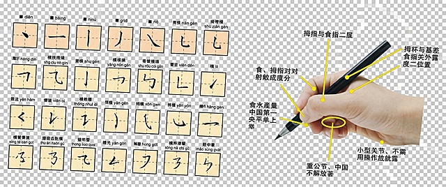 重新绘制这张硬笔书法教程图，保持所有内容和排版不变，左侧展示所有汉字基本笔画的米字格示例，右侧是正确握笔姿势图示，去除白色背景，保留清晰完整的内容，画质清晰