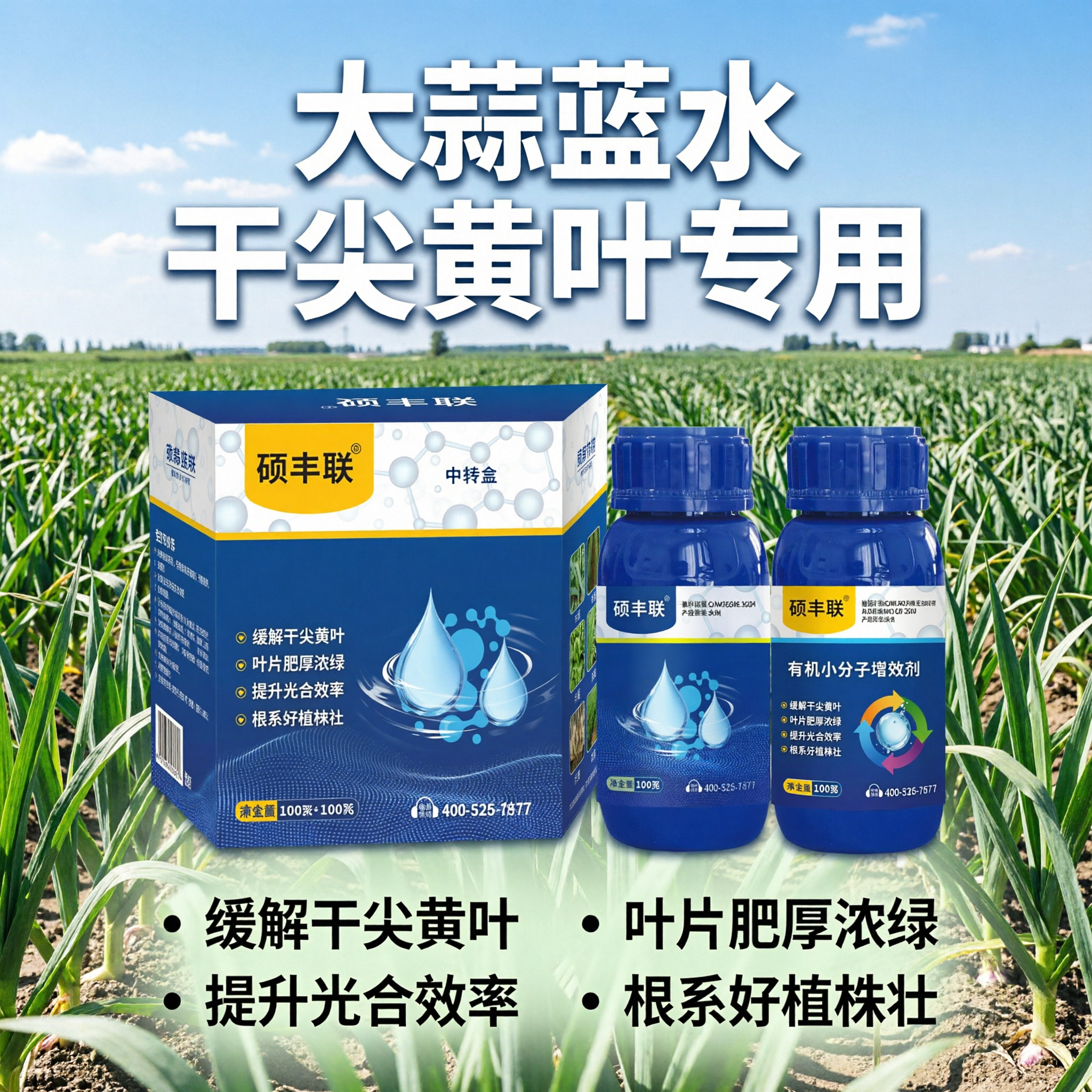 抖音电商主图，1:1正方形，大蒜蓝水农产品农药肥料产品主图，画… - 图片创意预览