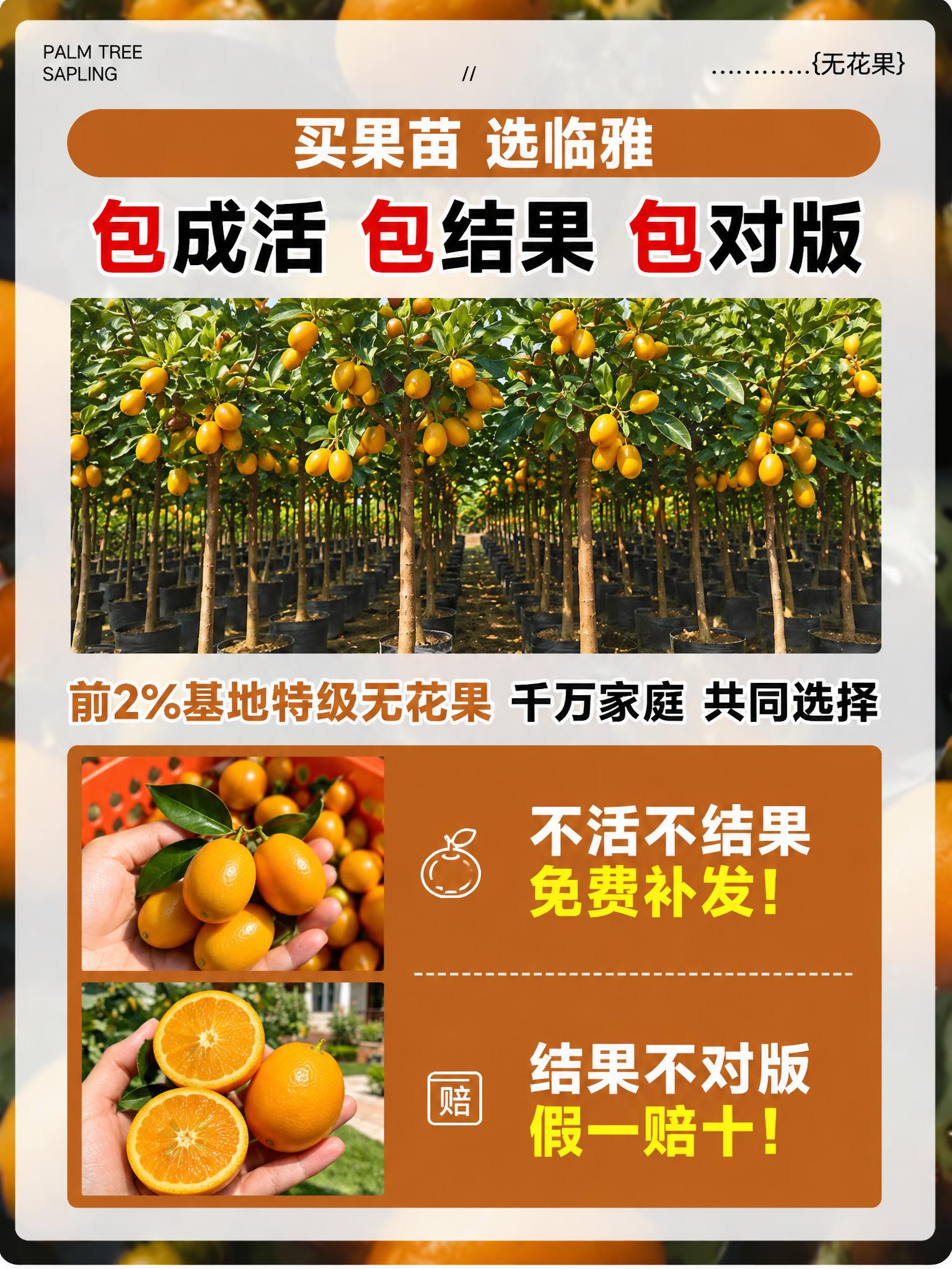 将图中的无花果树和无花果树叶全部替换为脆皮金桔树和金桔树叶，树… - 图片创意预览