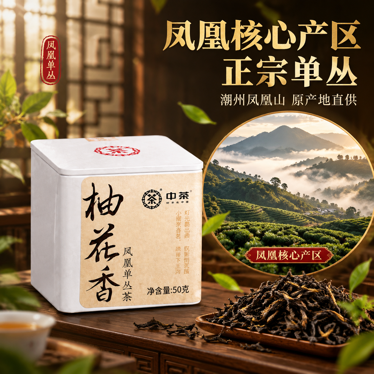 [主图-2 1:1] 产地溯源与核心亮点 中茶柚花香凤凰单丛茶… - 图片创意预览