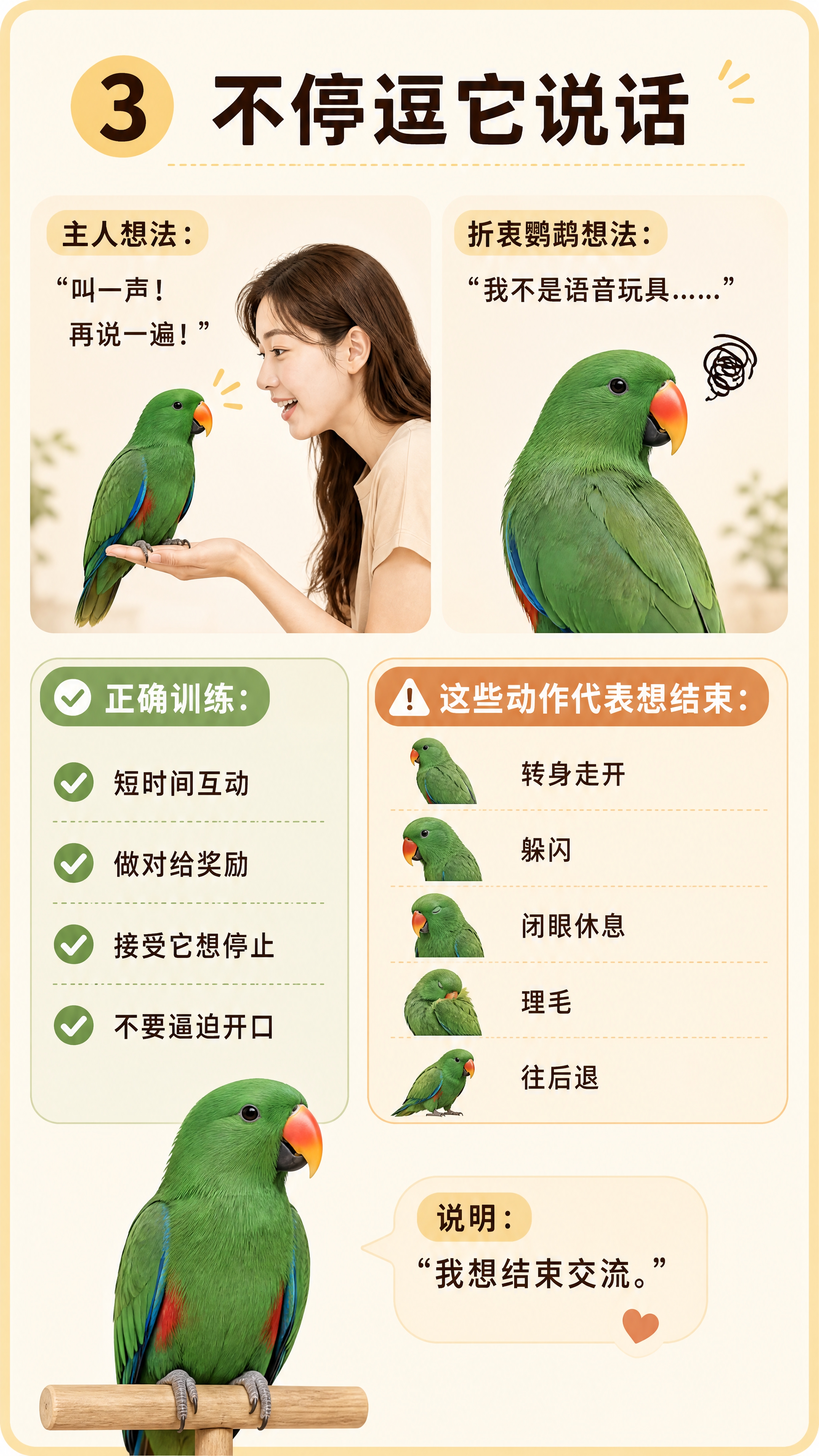 小红书宠物科普海报，插图大字，ins清新治愈风，版式精美，小红… - 图片创意预览