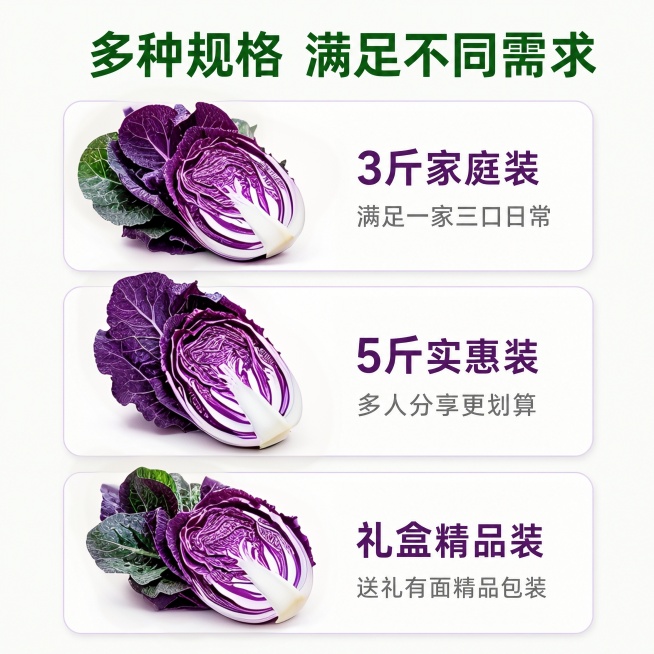 菜叶是紫色的预览效果