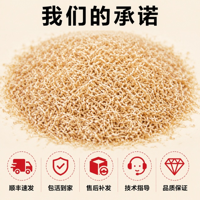 [主图-5] 金蝉蝉蚁幼苗服务承诺规格图，促进转化。
[氛围风格] 简洁可信，服务信息清晰明了；
[画质] 商业摄影质感、光线柔和通透、产品清晰真实、画面干净高级。
[元素] 画面上半部分为金蝉蝉蚁幼预览效果