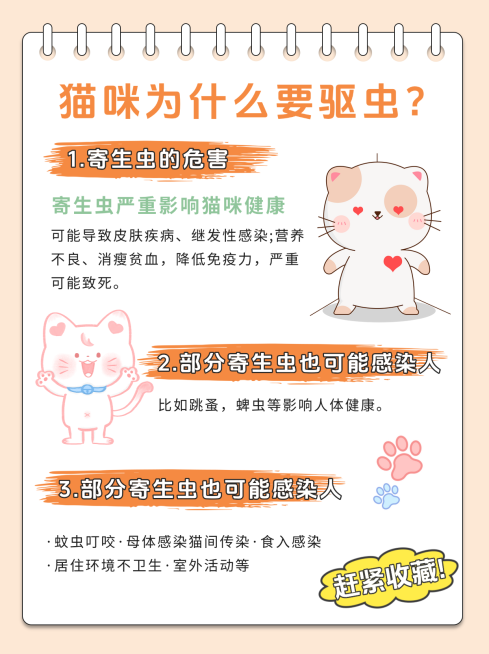 猫咪驱虫技巧分享萌宠服务温馨感小红书封面预览效果