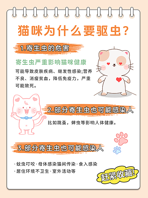 猫咪驱虫技巧分享萌宠服务温馨感小红书封面