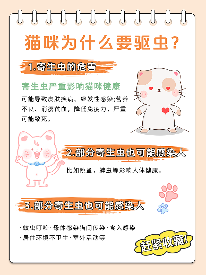猫咪驱虫技巧分享萌宠服务温馨感小红书封面