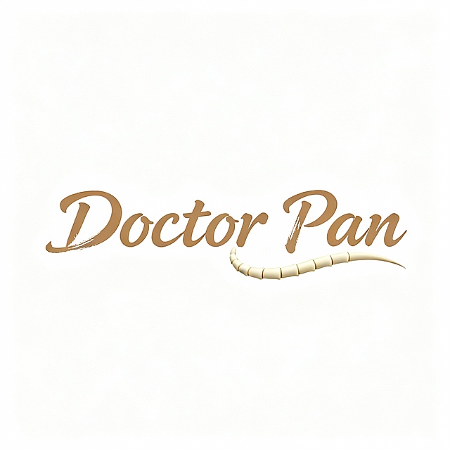 使用“Doctor Pan”王羲之草书字体，用笔画自然延伸模拟真实脊柱曲线，使用暖色调