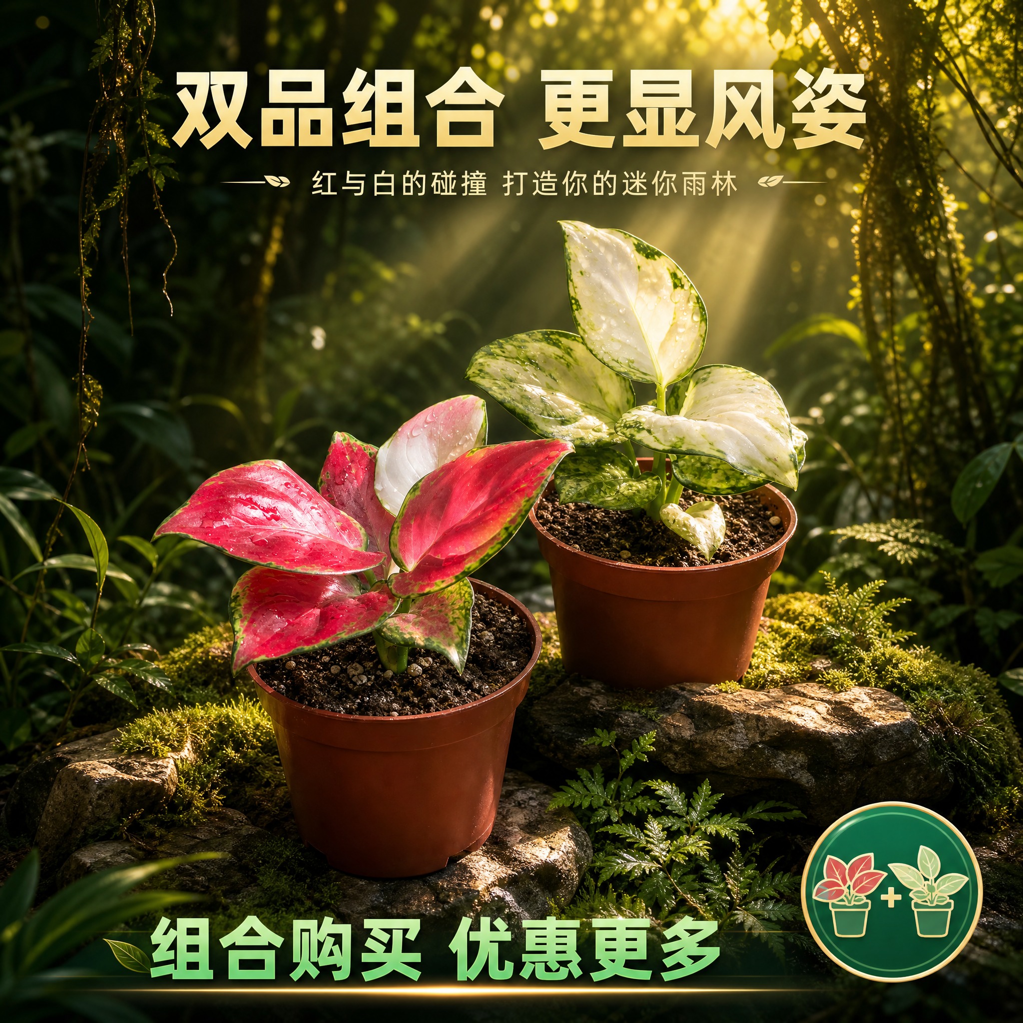 [主图-10] 组合购买推荐图，主题：双品组合购买更划算，展示… - 图片创意预览