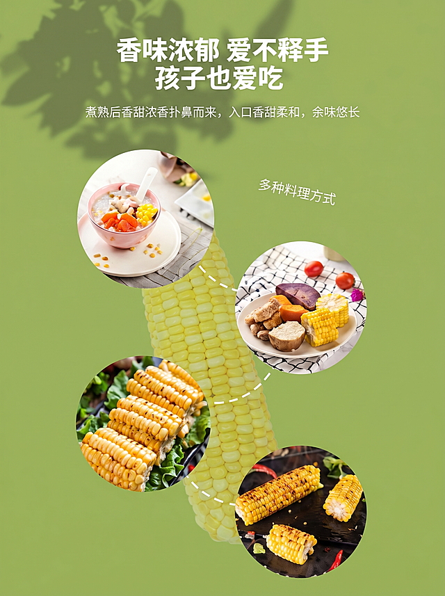 [主图 5] 吃法展示页，展示多种烹饪方式
[氛围风格] 清新自然绿色系，和整套详情页风格统一
[画质] 商业摄影质感、光线柔和通透、产品清晰真实、画面干净高级。
[元素] 渐变绿色背景，整根大玉米做底，四个圆形拼图分别展示不同烹饪方式的玉米美食：玉米粥、蒸玉米、烤玉米、杂粮拼盘，保持原图的拼接版式和文字信息完整。所有美食和玉米外观颜色质感和原图一致，杜绝变形色差，整体构图饱满不拥挤，大图满铺无边框。
[光影] 自然柔和光线，每张美食图片光线通透，提升食欲感
[配色] 主色调绿色，搭配美食本身自然色彩，整体和谐舒适
[视角构图] 版式和原图保持一致，圆形拼贴错落分布在玉米底纹上，层次清晰
[文字版式] 顶部标题"香味浓郁 爱不释手 孩子也爱吃"大号白色粗体，正文介绍"煮熟后香甜浓香扑鼻而来，入口香甜柔和，余味悠长"右侧标注"多种料理方式"，文字白色清晰醒目，排版自然不遮挡主体。
[比例分辨率] 3:4 比例，2k 分辨率；文字清晰可辨，超高清。
[负向提示词] 变形，水印，文字错乱，产品模糊，背景杂乱，颜色刺眼，遮挡主体