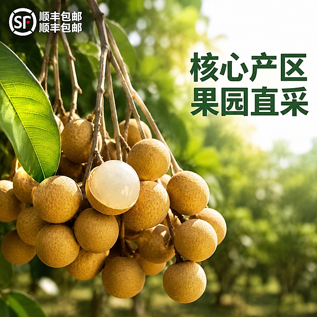 [主图-3] 树上挂果特写，产地溯源展示。保持龙眼外观大小颜色纹理和输入产品图绝对一致，杜绝变形和色差，精细化处理。画面氛围为原生态果园挂果，自然新鲜充满生机。商业摄影质感，光线柔和通透，产品清晰真实，画面干净高级。大串龙眼挂在树枝上，保留一片完整翠绿叶片，其中一颗龙眼已经剥开露出晶莹果肉，展示果肉水润质感。背景为虚化的龙眼树林，自然景深突出主体。自然暖阳逆光，让半透明果肉呈现水润通透光泽，果皮纹理清晰。主色调为深绿树叶、黄褐色果实、冰白玉色果肉，层次丰富。中近景平视视角，突出果实串和果肉细节。左上角保留顺丰logo，右侧负空间大字文案写"核心产区 果园直采"，深绿色粗体，文字不遮挡主体。1:1比例，2k分辨率，文字清晰锐利，超高清。负向提示词：变形，文字错乱，产品图模糊，背景杂乱，水印，电商平台Logo。