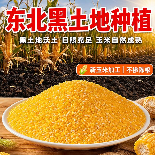 [主图-2] 原料产地图，信任卖点，东北黑土地种植，拼多多风格大字醒目。
[统一基调] 拼多多农产品风格，整体暖黄+深褐土地色调，背景融入东北黑土地玉米田场景，主标题用超粗红底白边书法黑体字，辅助文案用白色粗黑体，标签用橙色圆角图标配白色字，强调产地溯源和品质信任感。
[画面] 画面下半部分展示满满一盘金黄的玉米糁颗粒，颗粒饱满色泽鲜亮，盘子放在木质桌面上。画面上半部分是东北黑土地玉米田的场景，成熟的金黄色玉米棒长在秸秆上，黑土地土壤清晰可见，阳光洒在玉米田里，展现产地氛围。中间用柔和的过渡连接产品和产地场景，形成上下分屏但自然融合的效果。产品占画面约50%，产地场景占约50%。
[光影质感] 自然阳光从右上方照射，玉米田有温暖的日光感，玉米糁颗粒有自然的光泽和阴影，整体温暖通透，突出黑土地种植的天然感和玉米的成熟度。
[配色] 主色调金黄色+深褐色+绿色（玉米叶），主标题大红色配白色粗描边，辅助文字白色，标签橙色底白色字，整体色彩丰富有层次，符合农产品产地溯源风格。
[文字版式] 画面顶部居中超大主标题："东北黑土地种植"，红色粗黑体配白色描边，字号最大。主标题下方一行小字："黑土地沃土 日照充足 玉米自然成熟"，白色粗黑体，字号约为主标题的1/4。画面中下部偏右位置标签："🌽新玉米加工｜不掺陈粮"，橙色圆角矩形底白色字，标签醒目。文字放在画面上部和侧边，不遮挡玉米糁主体。
[输出要求] 1:1正方形，2048*2048，文字清晰可读，玉米糁颗粒清晰，产地场景真实自然，无变形，无错字，无水印，无平台logo。负向：模糊、玉米田虚假、颜色不自然、文字遮挡产品、悬浮感。