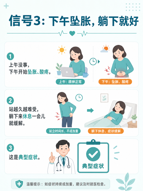 医疗科普扁平风格插画，标题文字为"信号3：下午坠胀，躺下就好"，正文文字为"上午没事，下午开始坠胀、酸疼。站越久越难受，躺下来休息一会儿就缓解。这是典型症状。"，每个句子搭配对应的小插图，简约扁平风格预览效果