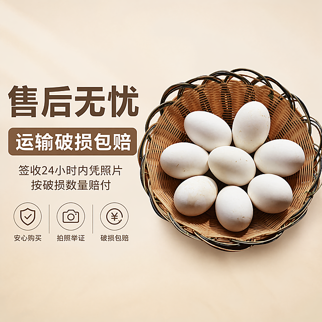 [主图-6] 售后保障卖点主图。打消顾虑促进转化，商业摄影清晰通透。保持鹅蛋外观一致，杜绝变形。竹篮鹅蛋居中放置，背景简洁干净，商品占比60%。柔和均匀自然光。浅米色背景，干净稳重。平视居中构图。左侧大字"售后无忧"深棕色粗体，下方放大标注"运输破损包赔"，小字说明"签收24小时内凭照片按破损数量赔付"，文字清晰排版工整。1:1 4k分辨率。负向提示：变形，水印，文字错乱，违禁词