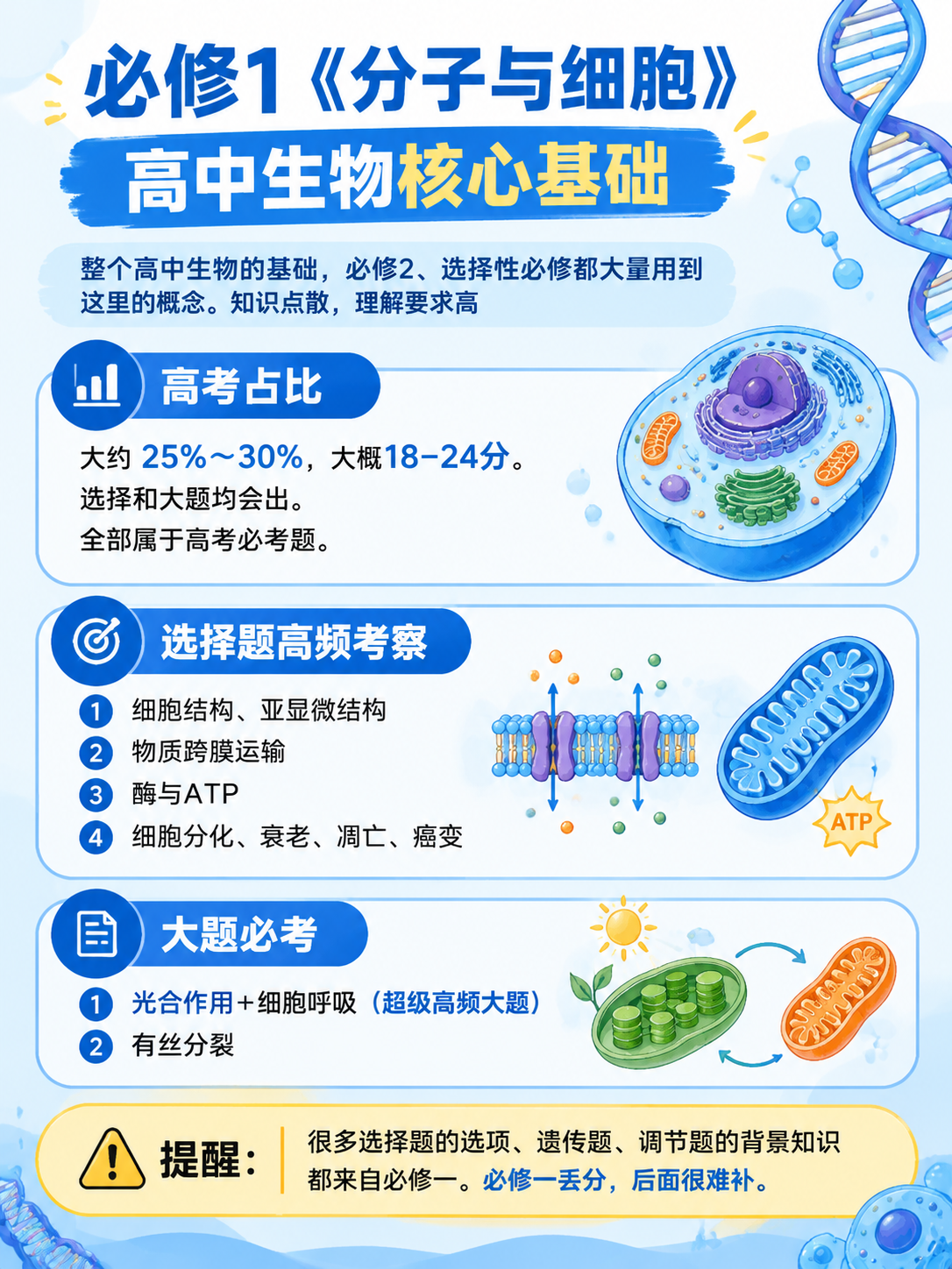 高中生物必修1《分子与细胞》知识点总结海报，教育学习风格，清晰… - 图片创意预览