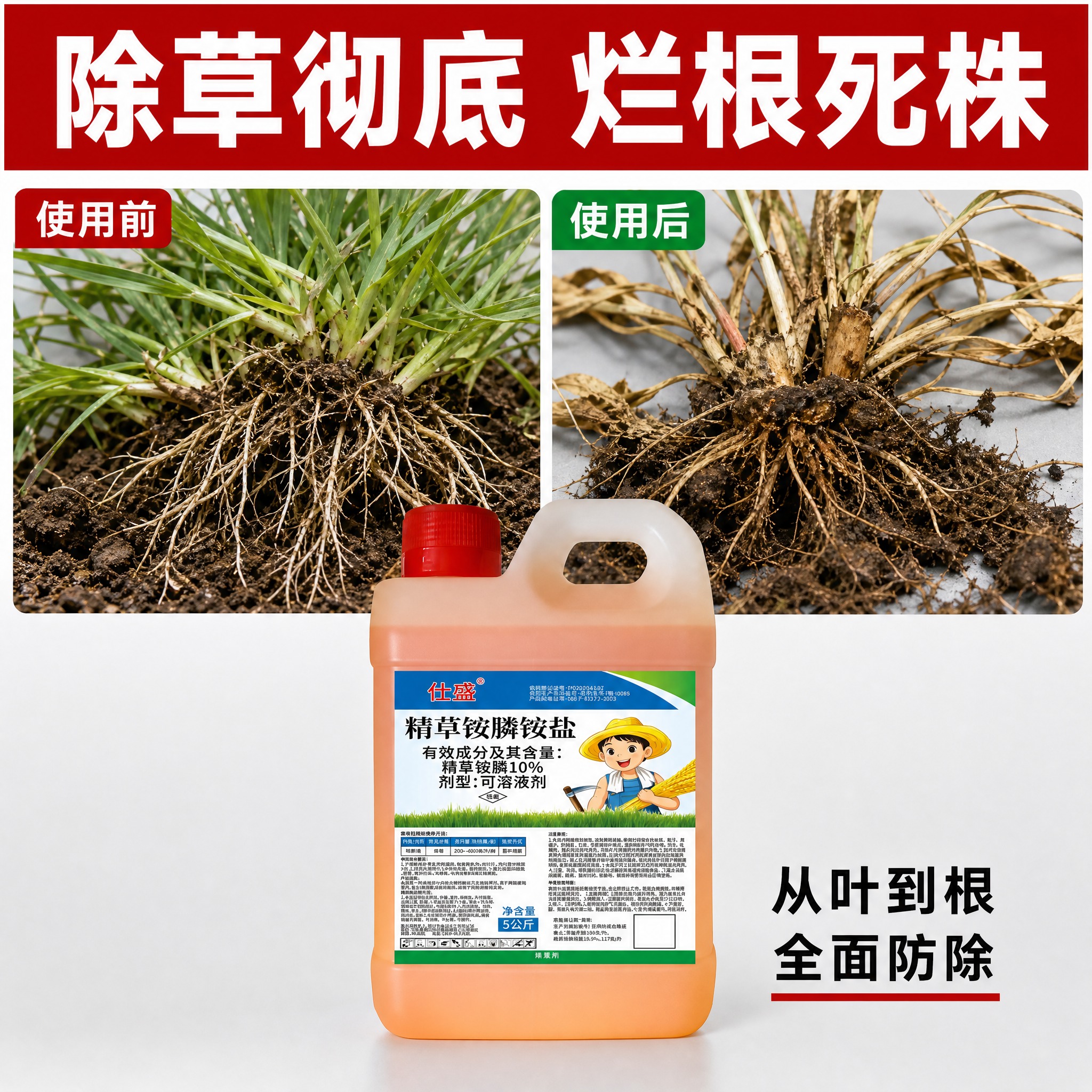 [主图-3] 除草彻底效果证明，烂根效果对比。 [统一基调]… - 图片创意预览