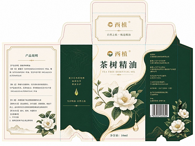 你帮我把这个用到的背景素材提取出来，