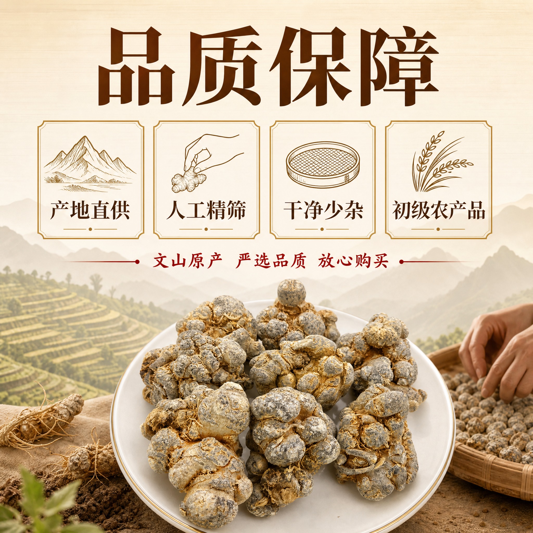 [主图-5] 品质保障 产地直供 人工精筛 干净少杂 初级农产… - 图片创意预览