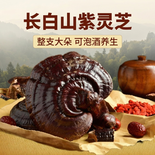 [主图 1] 长白山紫灵芝整枝大朵养生首图
[氛围/风格] 传统养生泡酒风格，自然暖光，专业品质感。
[画面元素] 保持原图紫灵芝主体完整不切割，大朵灵芝居中放置在牛皮纸上，周围搭配枸杞红枣，右侧保留预览效果