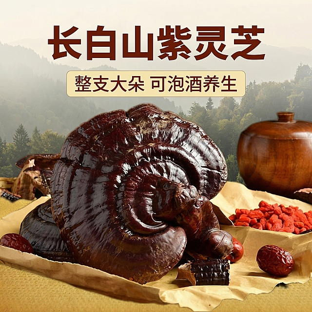 [主图 1] 长白山紫灵芝整枝大朵养生首图
[氛围/风格] 传统养生泡酒风格，自然暖光，专业品质感。
[画面元素] 保持原图紫灵芝主体完整不切割，大朵灵芝居中放置在牛皮纸上，周围搭配枸杞红枣，右侧保留原木罐，背景融入朦胧山林意境，整体大图满铺无边框，自然光线突出灵芝纹理质感。
[配色色系] 主色调：深紫棕（灵芝）；辅助色：暖黄（背景）、深红（枸杞红枣）、木色（容器）。
[视角构图] 平视视角，景深适中，产品占据画面核心位置。
[文字版式] 主标题 "长白山紫灵芝" 大字加粗深棕色，放在画面上方；副标题 "整支大朵 可泡酒养生" 缩小放在主标题下方，浅黄色背景块；主副标题都放在画面上方留白处，不遮挡主体产品。字体为粗体无衬线，清晰醒目。
[比例分辨率] 1:1 比例，2k 分辨率。保持产品外观与原图完全一致。