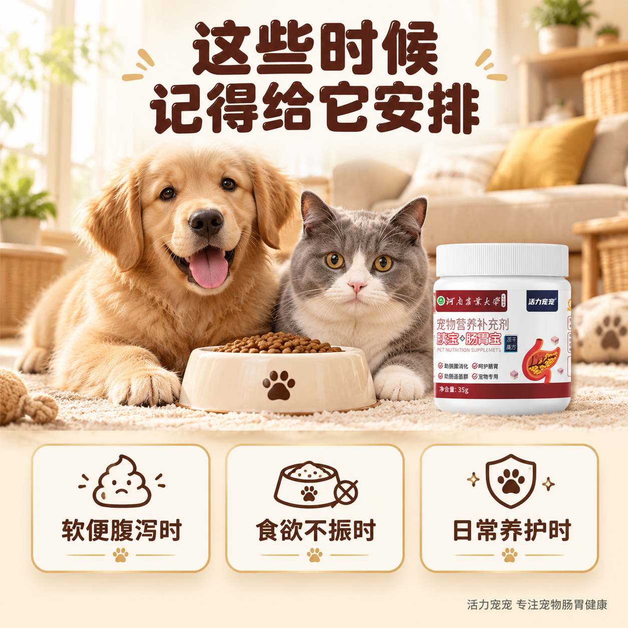 [主图-4] 使用场景与适用情况图，任务是展示什么情况下给宠物… - 图片创意预览