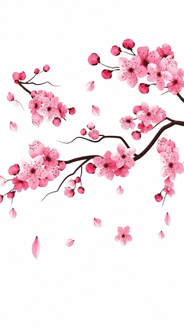 提取杯子上的粉色桃花图案，生成一张正面平面图，保持原有图案不变，填补图案中空缺的位置，一比一还原图案，图案保持高清清晰，纯白色背景预览效果