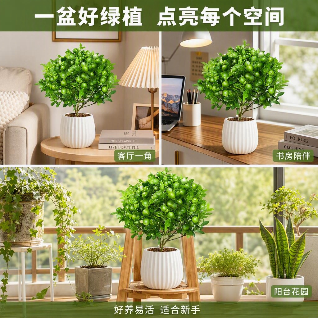 [主图-4] 青桔盆栽多场景应用展示图 生活方式场景。 [氛围… - 图片创意预览