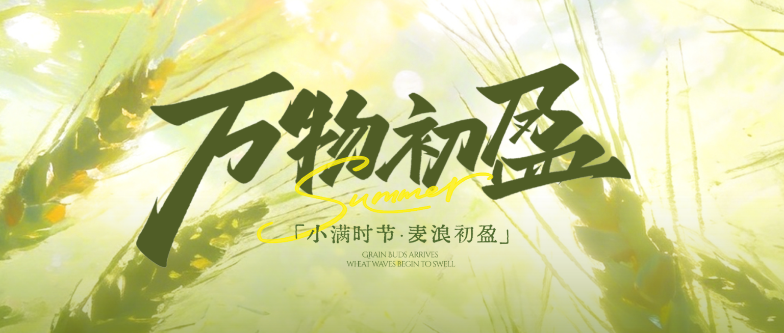 小满节气祝福通用清新感麦穗公众号首图预览效果