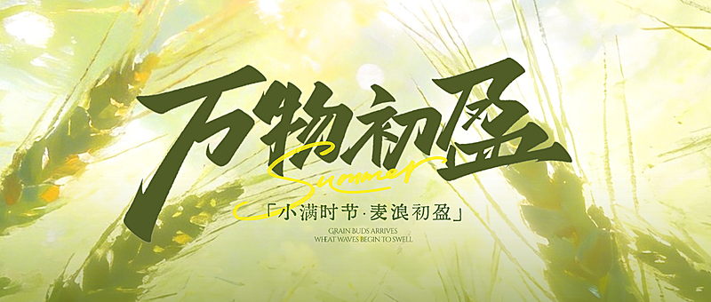 小满节气祝福通用清新感麦穗公众号首图