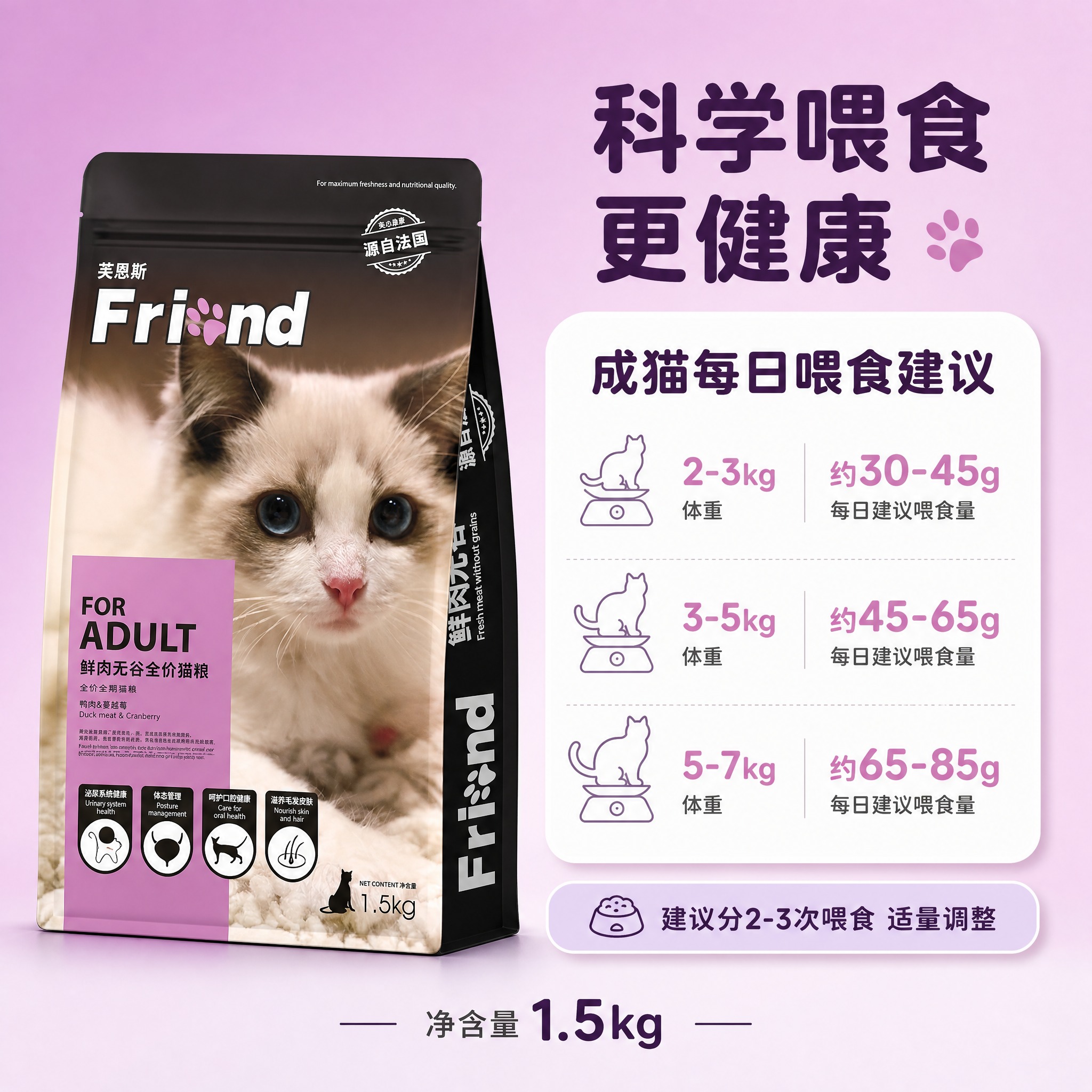 [主图-5] 喂食标准与规格信息图 展示分体重喂食建议 [统一… - 图片创意预览