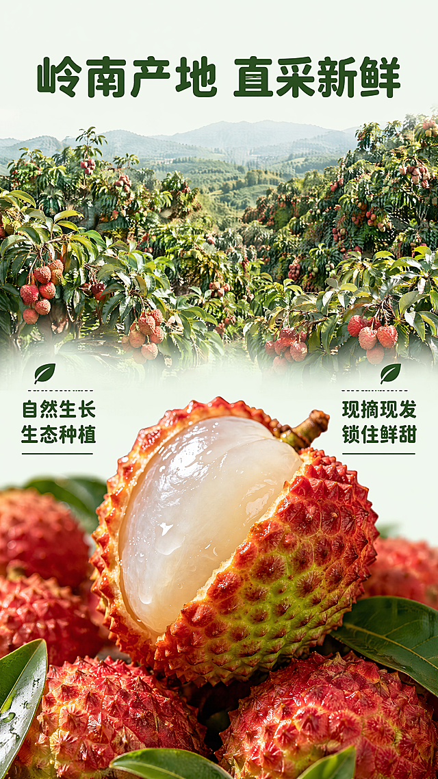 [第2屏] 产地直采优势展示屏-新鲜荔枝产地宣传。
[氛围/风格] 自然原生态果园风格，开阔清新氛围感，真实风光摄影质感。
[元素布局] 上半部分为岭南荔枝园实景全景，漫山遍野的荔枝树挂满红色荔枝，展示原生态种植环境；下半部分居中展示切开的主体荔枝，保持荔枝外皮红绿色渐变带凸起纹理、莹白饱满半透果肉的物理结构、材质质感、颜色与输入产品图一致，荔枝占下半部分约60%比例，左右两侧预留文字区域，前景加散落的荔枝叶点缀。
[光影质感] 上午柔和自然太阳光，整体光线均匀通透，远景果园有空气层次感，近景荔枝纹理清晰，果肉水润反光自然。
[配色色系] 全局底色：#F2F9F0（浅暖绿）；主体配色：深绿山林 +#EC5538（荔枝外皮红）+#F0FDF9（果肉莹白）；辅助色：#FFFFFF（标题白）+#2D5929（深绿文字）。
[视角构图] 上下分栏构图，上远景果园下近景产品，视觉动线从上至下自然流畅。
[文字版式] 顶部通栏大标题「岭南产地 直采新鲜」，深绿圆角黑体字，居中，纯色填充；下半部分左右分栏放两个卖点：左侧「自然生长 生态种植」、右侧「现摘现发 锁住鲜甜」，每点配小叶子图标，文字清晰不遮挡荔枝主体。字体全程使用圆角黑体，仅使用深绿和白色2种颜色，所有标题使用纯色填充，风格统一。
[比例分辨率] 9:16竖版比例，4K分辨率，文字清晰可辨，超高清。
[负向提示词] 荔枝变形，颜色偏差，文字错位，果园杂乱，水印，模糊，虚假场景