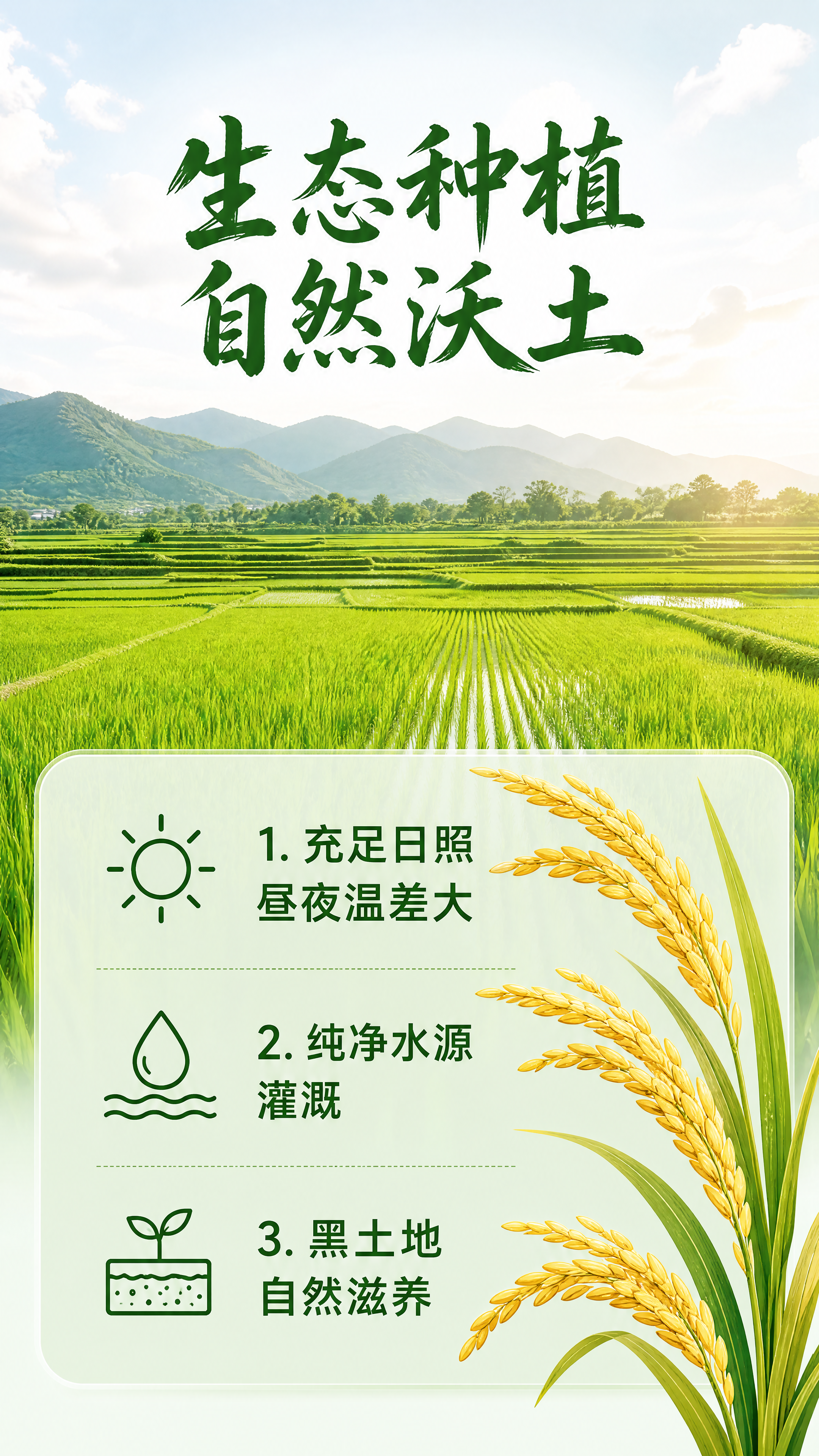 「图片1」「图片1」「图片1」「图片1」根据图片内容和风格优化… - 图片创意预览