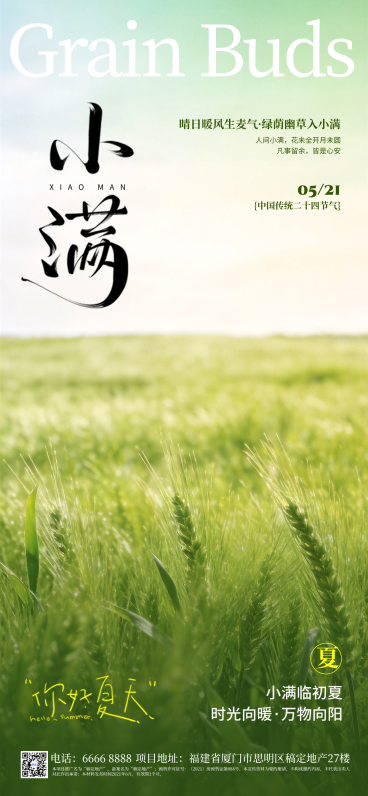 小满节气祝福清新自然全屏竖版海报预览效果