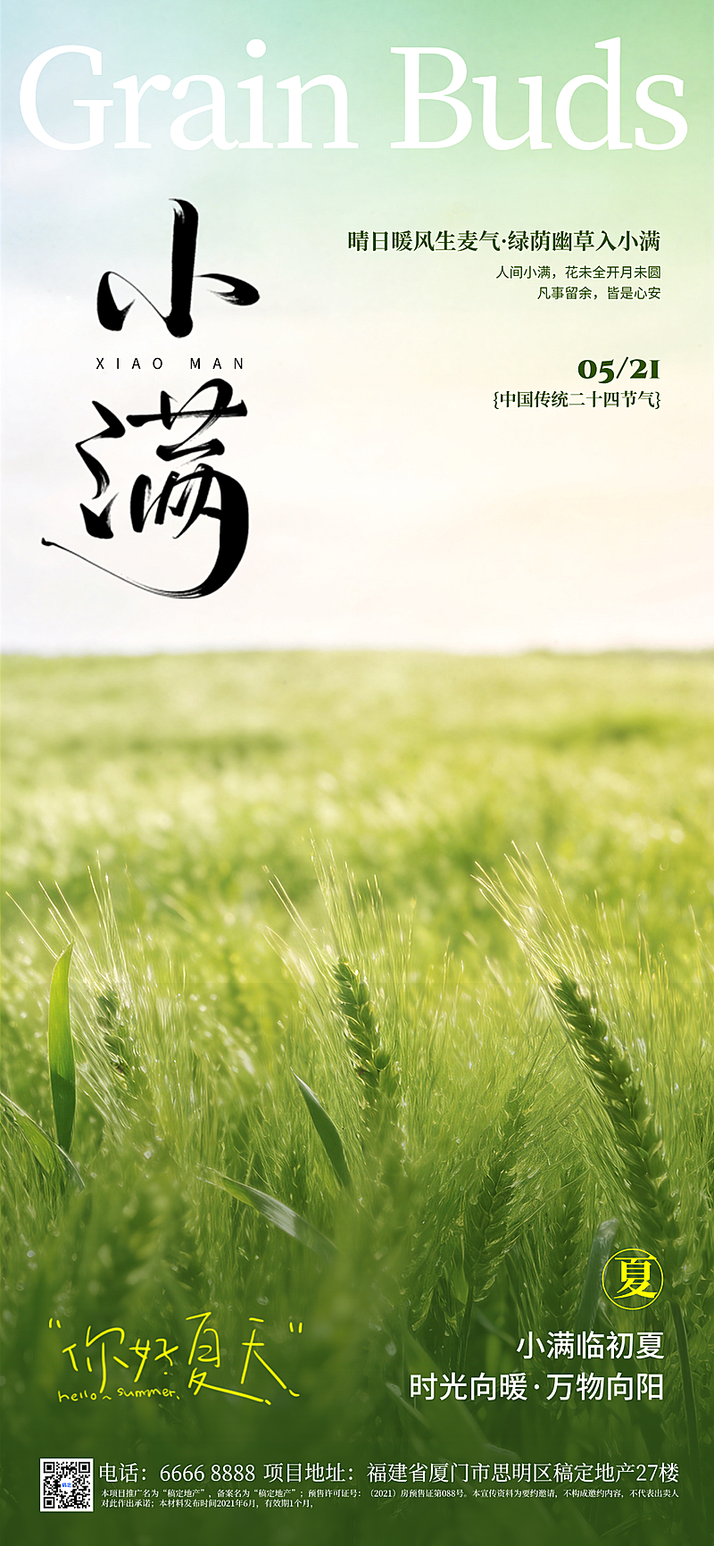 节日节气，小满，二十四节气，传统节气海报