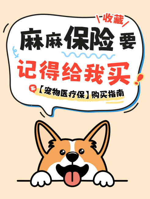 宠物医疗保险购买指南小红书封面预览效果