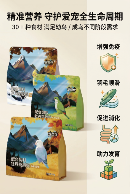 2:3 竖版电商详情图，严格还原宠帮仕鹦鹉专用配合粮产品包装细节，包装设计、颜色、LOGO、文字、图案元素、哑光质感均与参考图完全一致，产品与场景物体比例保持 1:1 协调。画面左侧展示产品包装，右侧预览效果