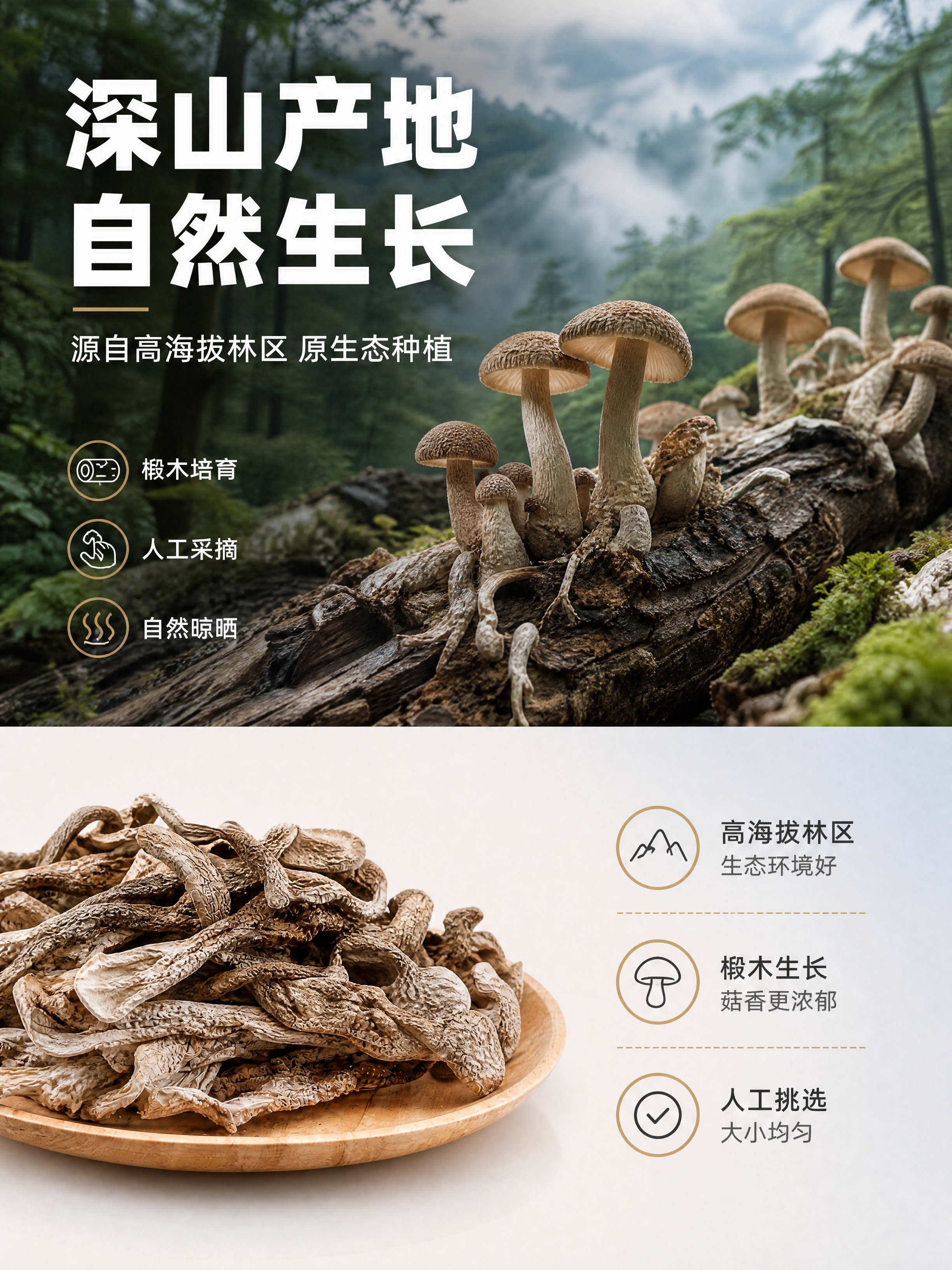 [商品] 使用【图3】中的中条鹿茸菇干品及浅木盘；保留菌菇外观… - 图片创意预览