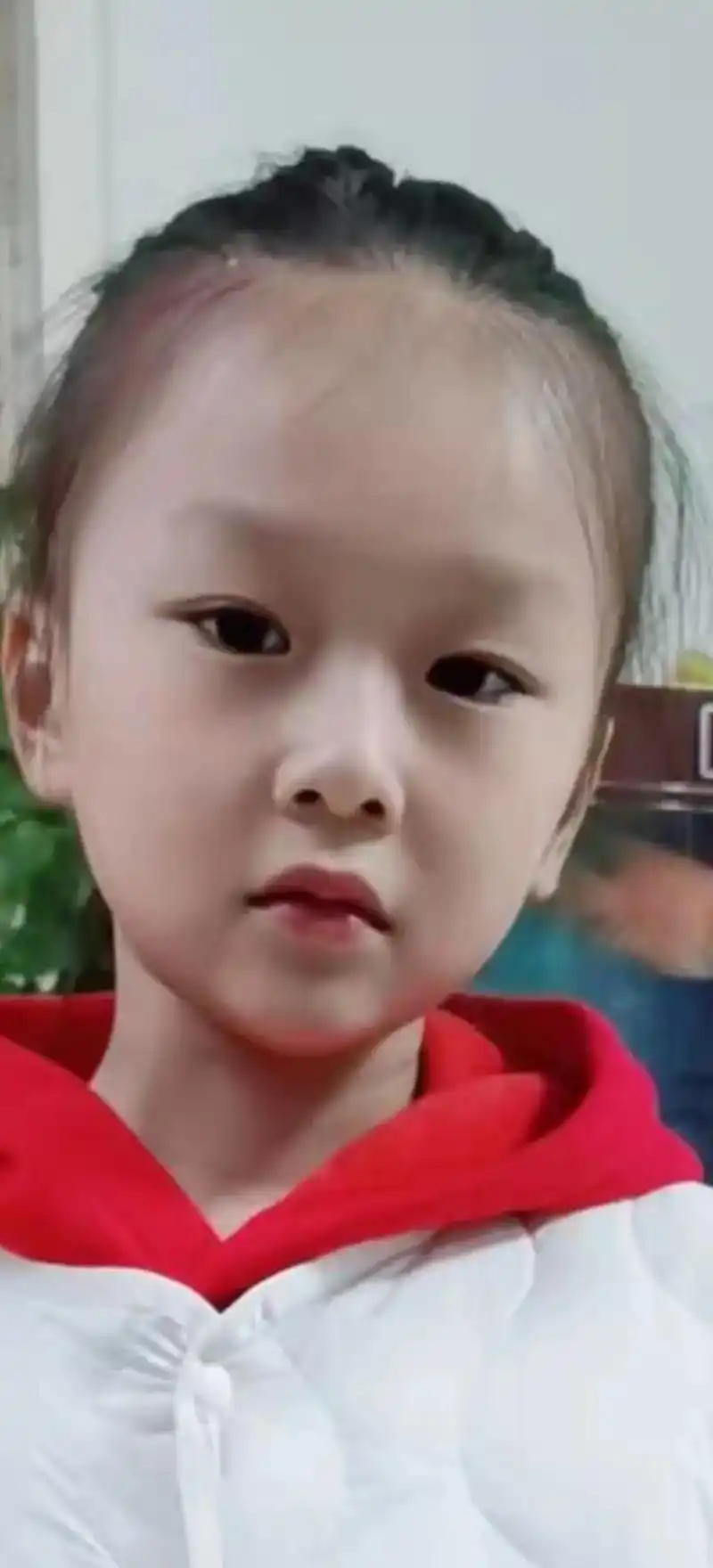 模板预览图