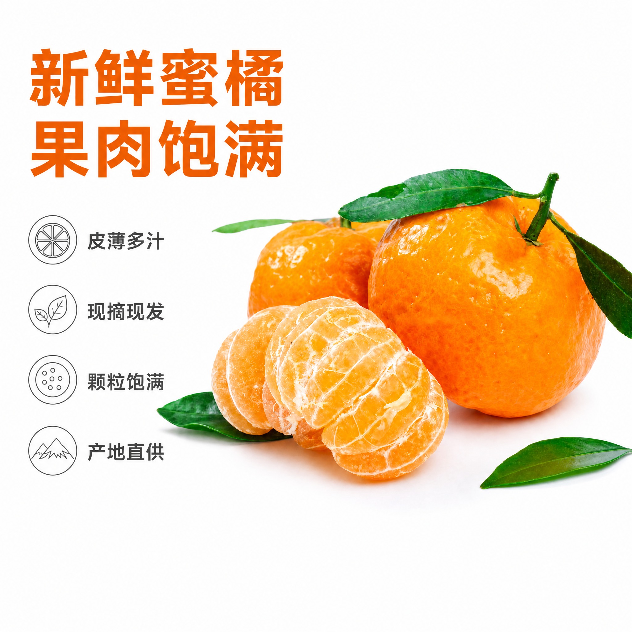 [单张主图] 新鲜带叶橘子白底卖点电商主图，白色背景，突出产品… - 图片创意预览