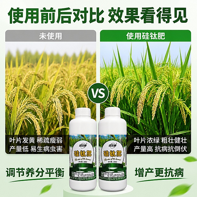 [主图-2] 硅钛肥产品优势对比展示图；
[氛围风格] 对比强烈，直观易懂，拼多多风格；
[画质] 商业摄影质感、光线明亮通透、产品清晰真实、画面干净高级；
[元素] 左右分栏对比展示，左侧常规施肥后的作物发黄瘦弱，右侧使用硅钛肥后的作物浓绿健壮；两瓶硅钛肥产品放置在画面中下居中位置，保持产品外观一致无变形色差。背景简洁浅绿色，不抢主体，画面满屏无边框。
[光影] 均匀棚拍布光，左右对比区域亮度一致，产品清晰突出。
[配色] 主色浅绿色背景，对比图保留作物自然色，文字用深绿对比清晰。
[视角构图] 上图下文，对比区域上半部分，产品下半部分，构图平衡。
[文字版式] 顶部标题大字"使用前后对比 效果看得见"，左右分栏标注"未使用" "使用硅钛肥"，底部产品旁副标题"调节养分平衡 增产更抗病"，文字清晰不遮挡对比效果。
[比例分辨率] 1:1比例，2048*2048，4K分辨率；文字清晰可辨，超高清。
[负向提示词] 变形，水印，文字错乱，产品图模糊，背景杂乱。